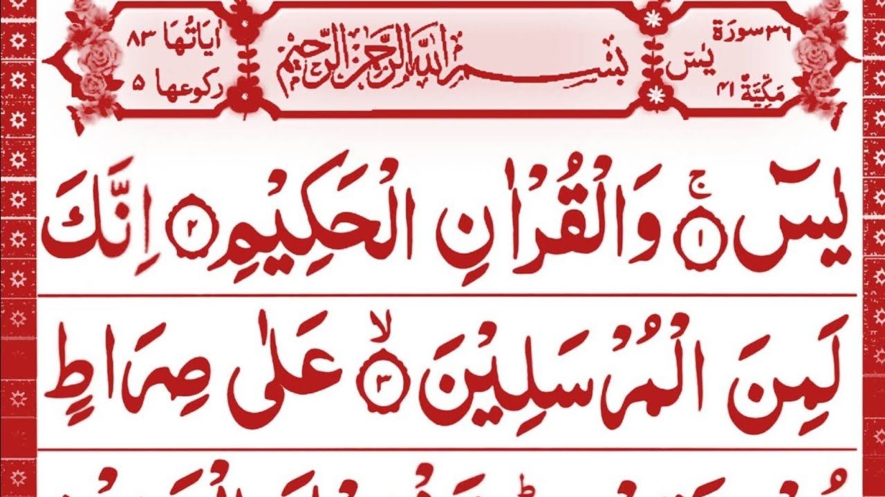 yaseen surah|Surah yaseen |yaseen shareef ki tilawat | Yaseen Sharif |یسین Al saeed quran tv