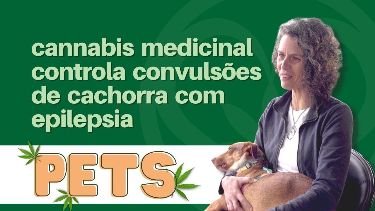 CBD trata cachorra com epilepsia e crises de convulsões