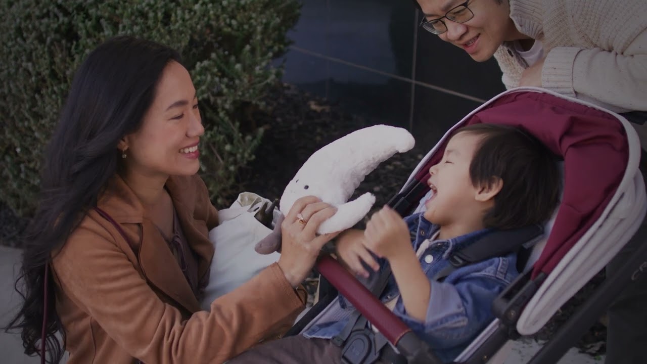 UPPAbaby VISTA V2 in Limited Edition Jade Rabbit