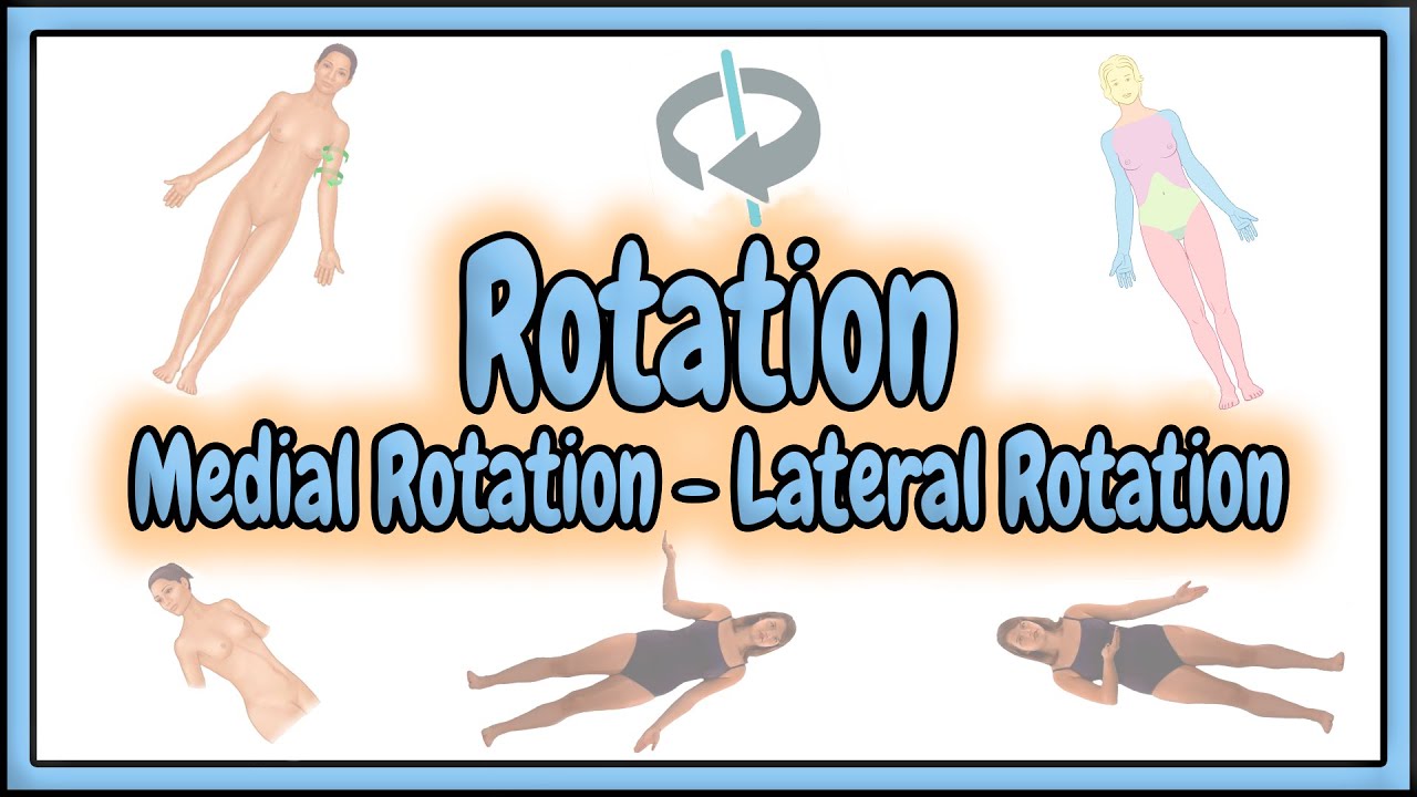 29. Rotation (Medial Rotation & Lateral Rotation) Terms || 2D Animation