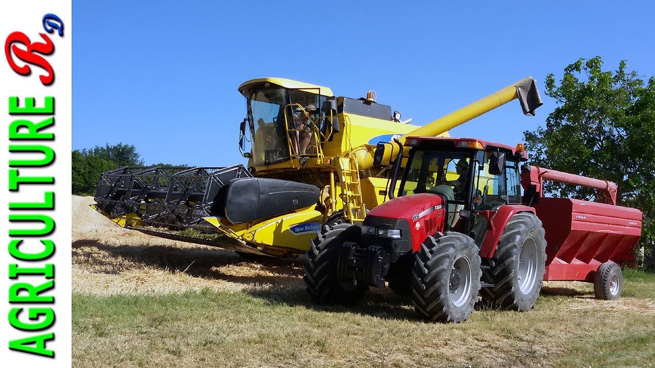 New Holland AL59 - Romiti Giuseppe - Molino Paolo Mariani