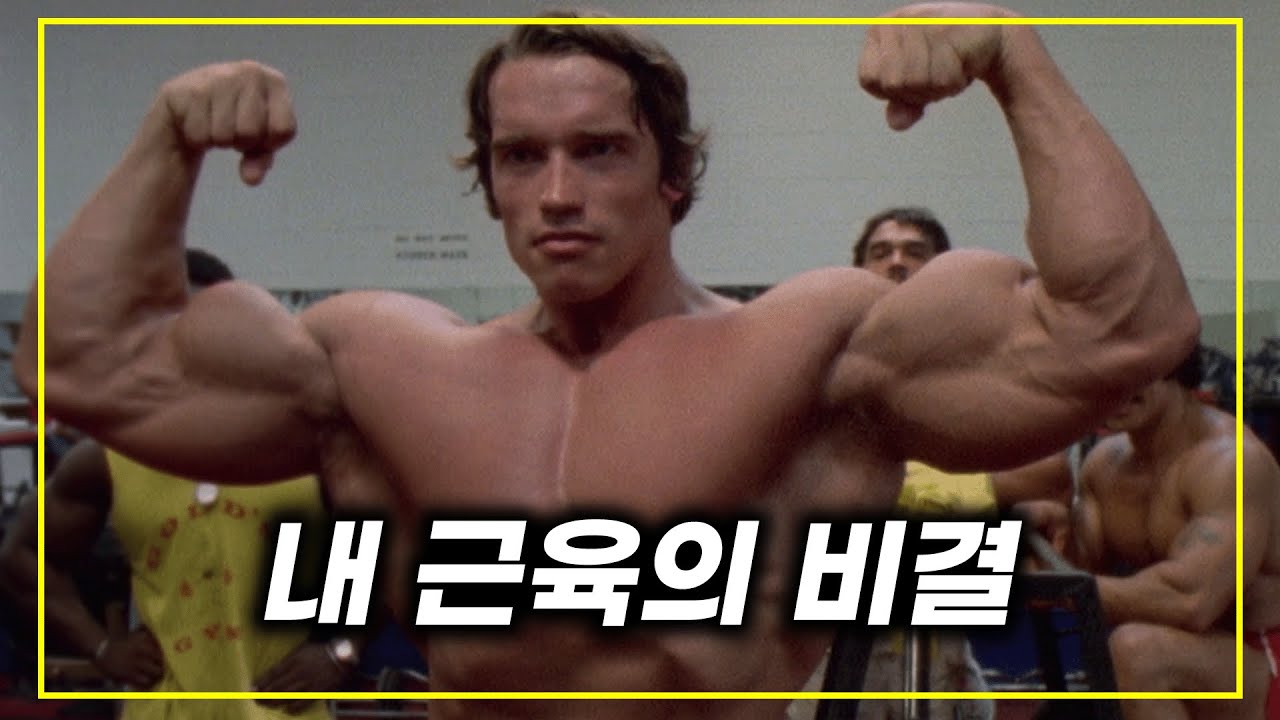 억만장자 아놀드, 그가 배우로 전향한 뒤 망해버렸던 이유 🔥넷플릭스 1위 다큐🔥 《아놀드》 한방에 몰아보기