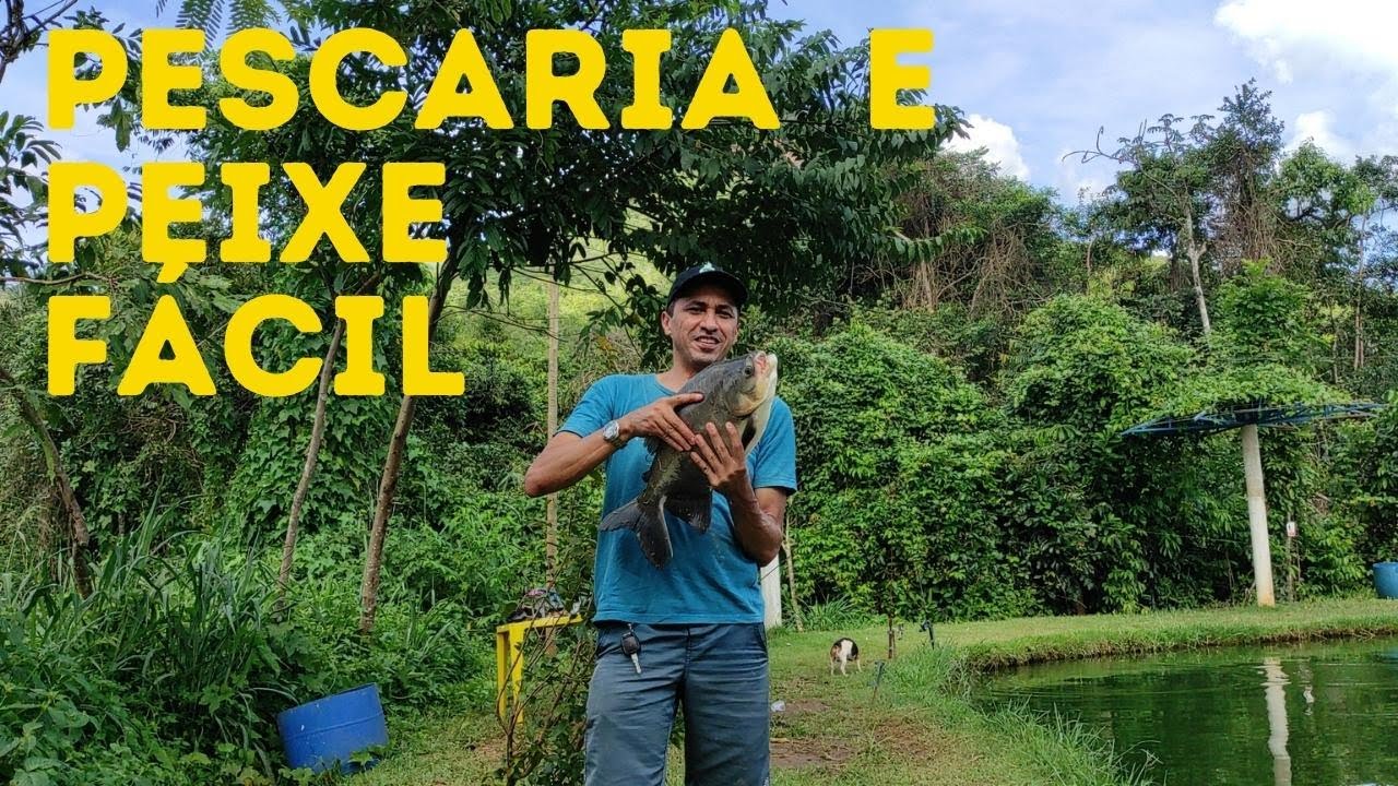 VEJA COMO PEGAR MUITOS PEIXES EM UM &Uacute;NICO DIA