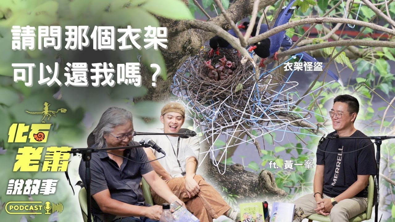 在城市裡跟蹤野生動物被當成怪咖？！那些住在你家屋簷的野生動物還不來認識一下！ft. 黃一峯