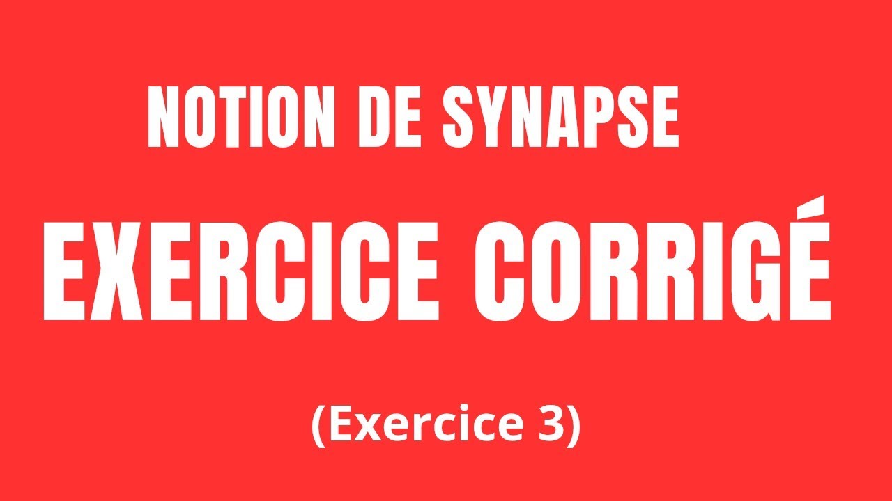 Série N°7// Notion de Synapse// Corrigé Exercice 3