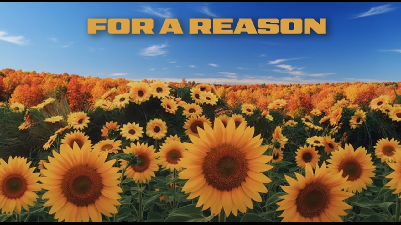 For a reason by @karan aujla make your reels now . Sub for more 