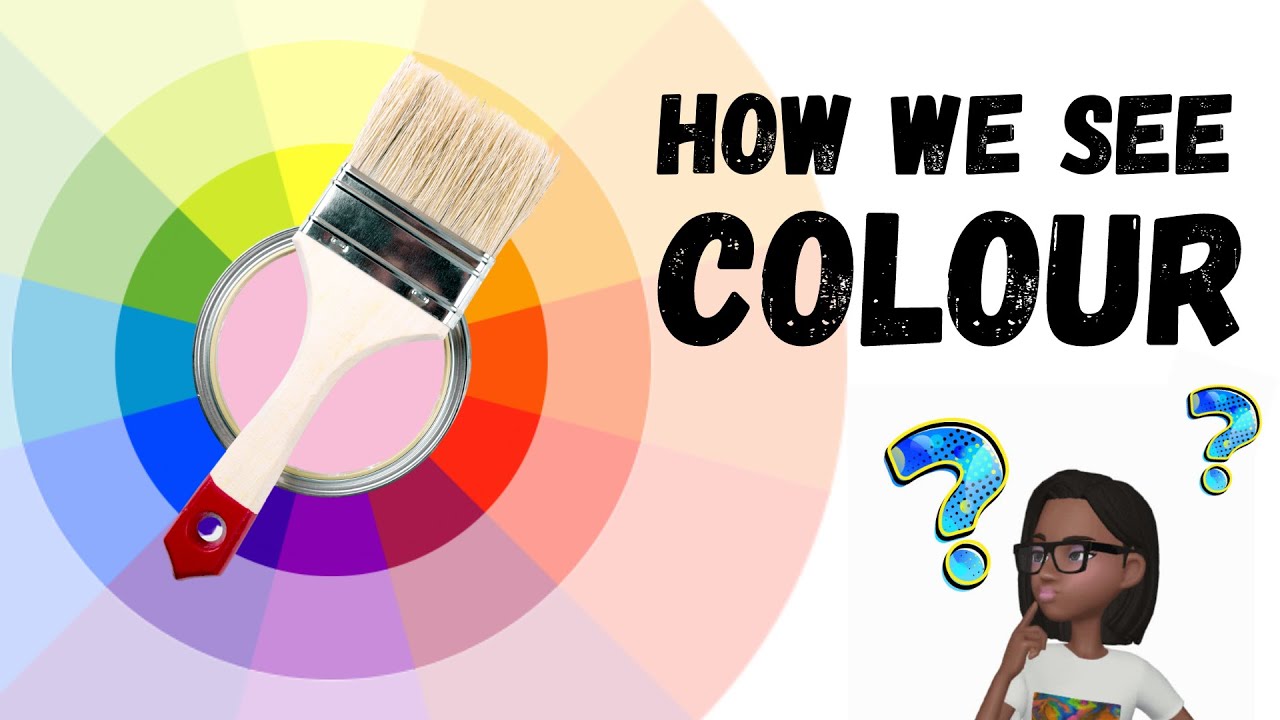 How We See Colour | Light and Colour | Colour Theory