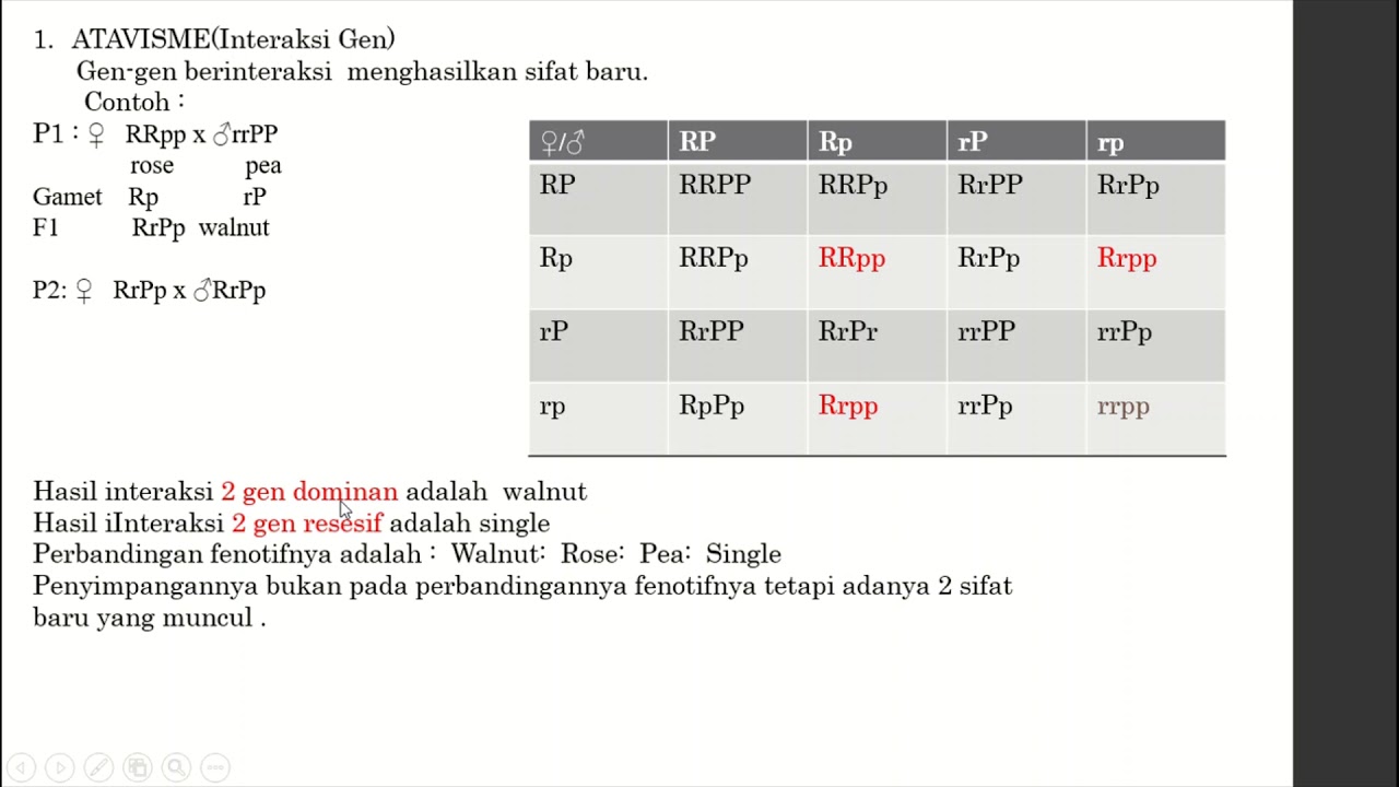 PENYIMPANGAN SEMU HUKUM MENDEL : Atavisme