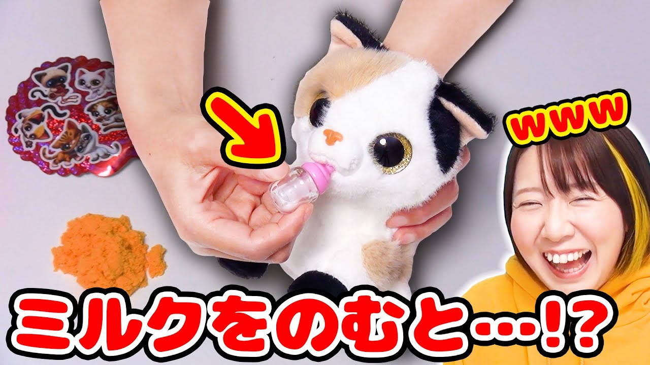 え！？本当に飲んでる！？😳猫ちゃんのお世話ができるサプライズトイが超可愛かった！！