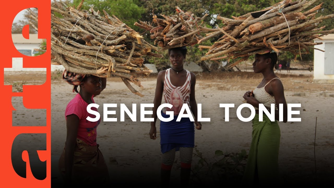 Senegal: Wyspa tonie | ARTE.tv Dokumenty