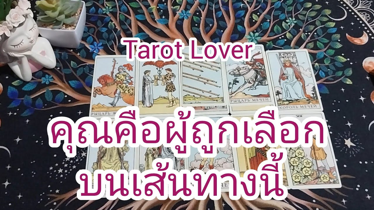 คุณคือผู้ถูกเลือกบนเส้นทางนี้