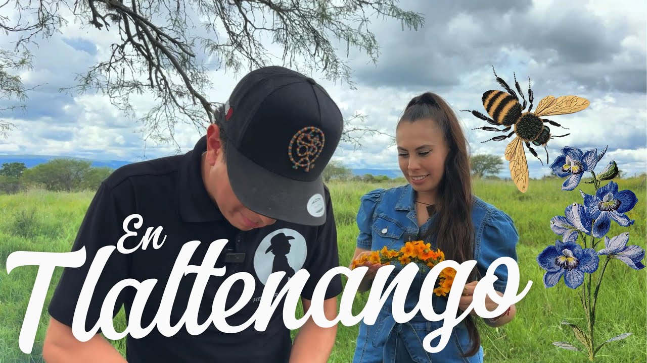 Proyecto de Abejas, Tere Carrillo nos acompaña a ver como va todo 🤠