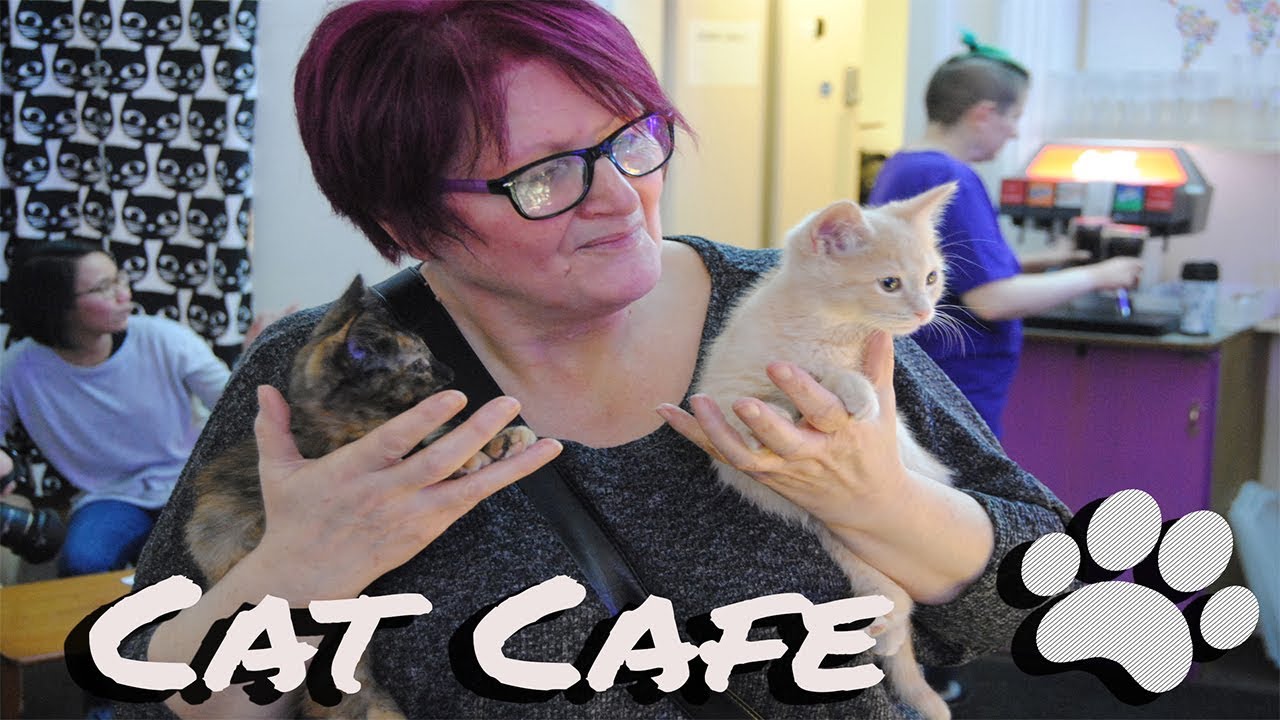 Purrple Cat Cafe Glasgow/Scotland 25/01/2018