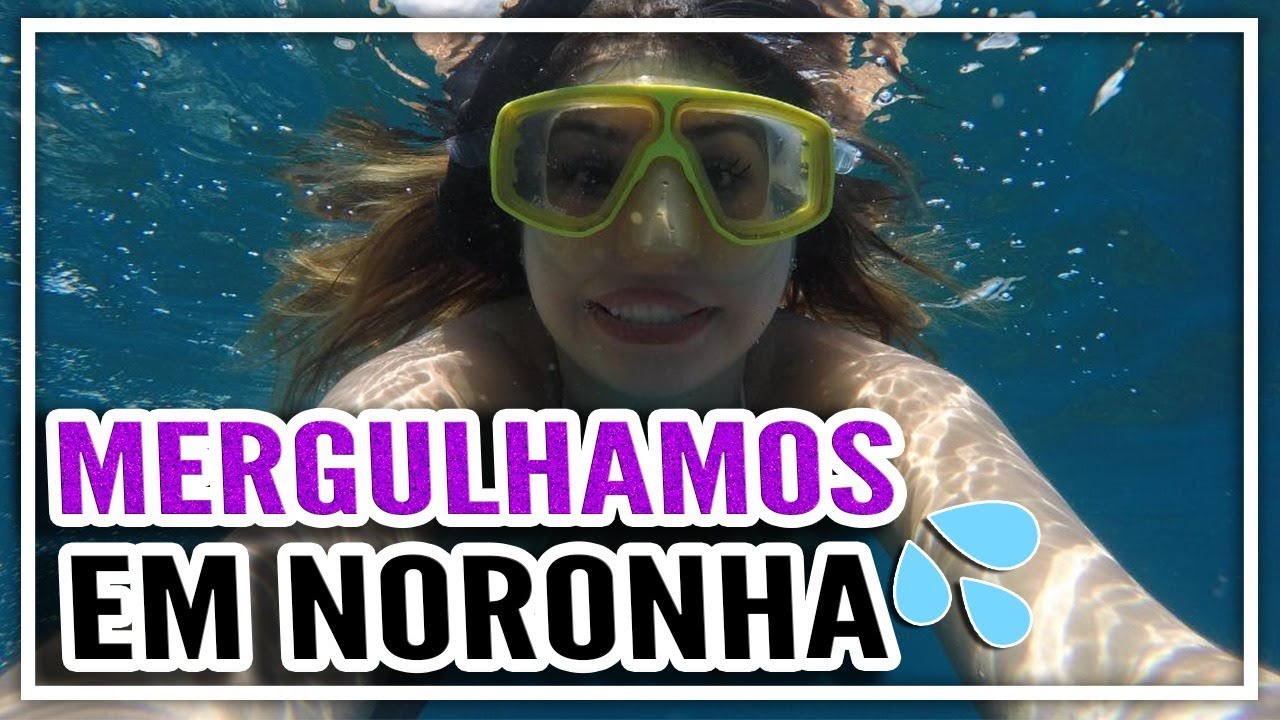 VIMOS GOLFINHO, TARTARUGA, TUBARÃO E A PRAIA MAIS LINDA DO MUNDO - NORONHA 4