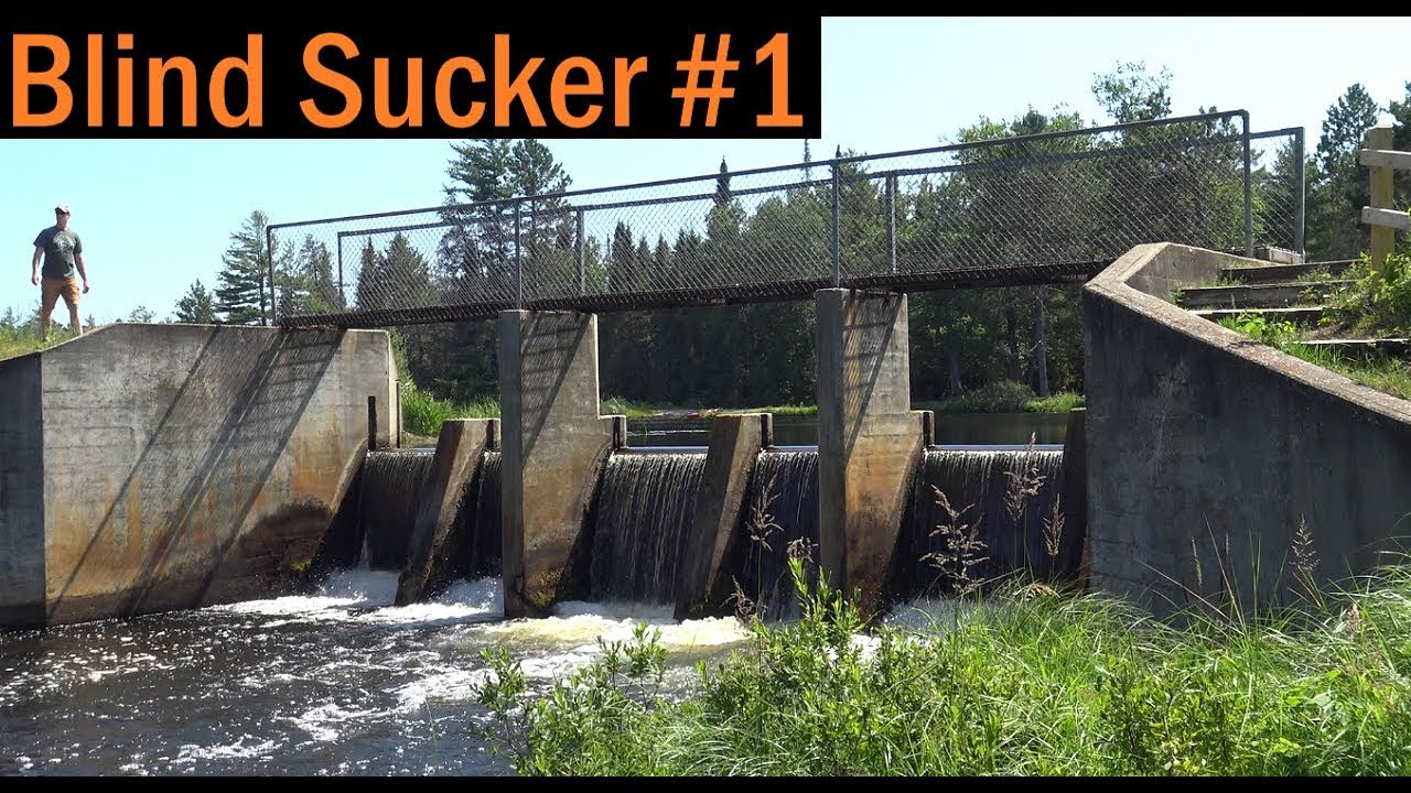 Blind Sucker #1: Michigan State Forest Campground Overview