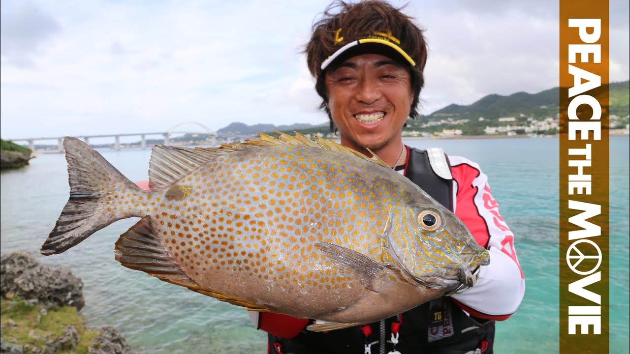 PEACE THE MOVIE #54「梅雨の沖縄！日中カーエー釣り!!」沖縄県の旅・本部町瀬底島（後編）/平和卓也(856)