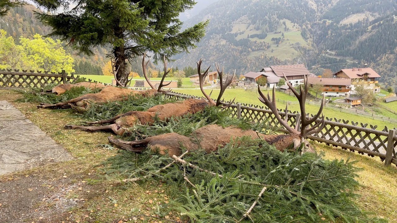 Die Hubertusmesse in Bad Hofgastein ist eine traditionsreiche Veranstaltung.