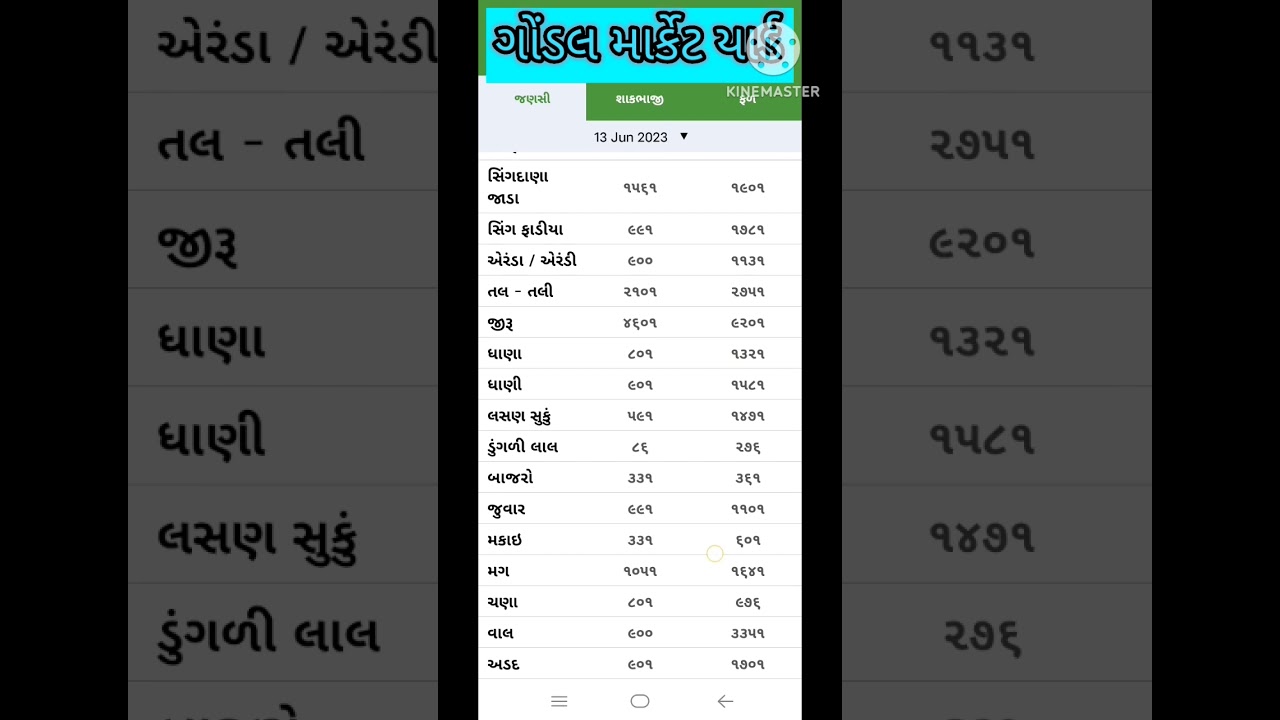 Gondal market yard na bhave live update