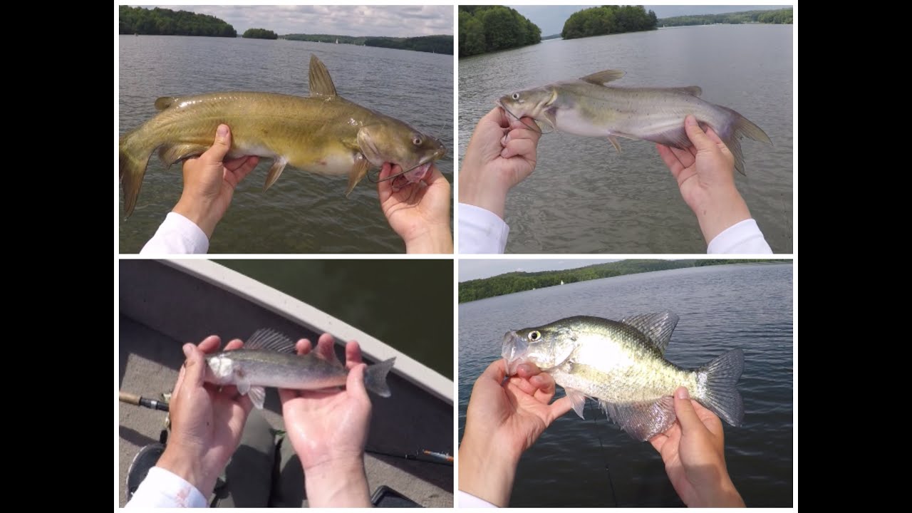 Multi-Species Fishing at Lake Arthur