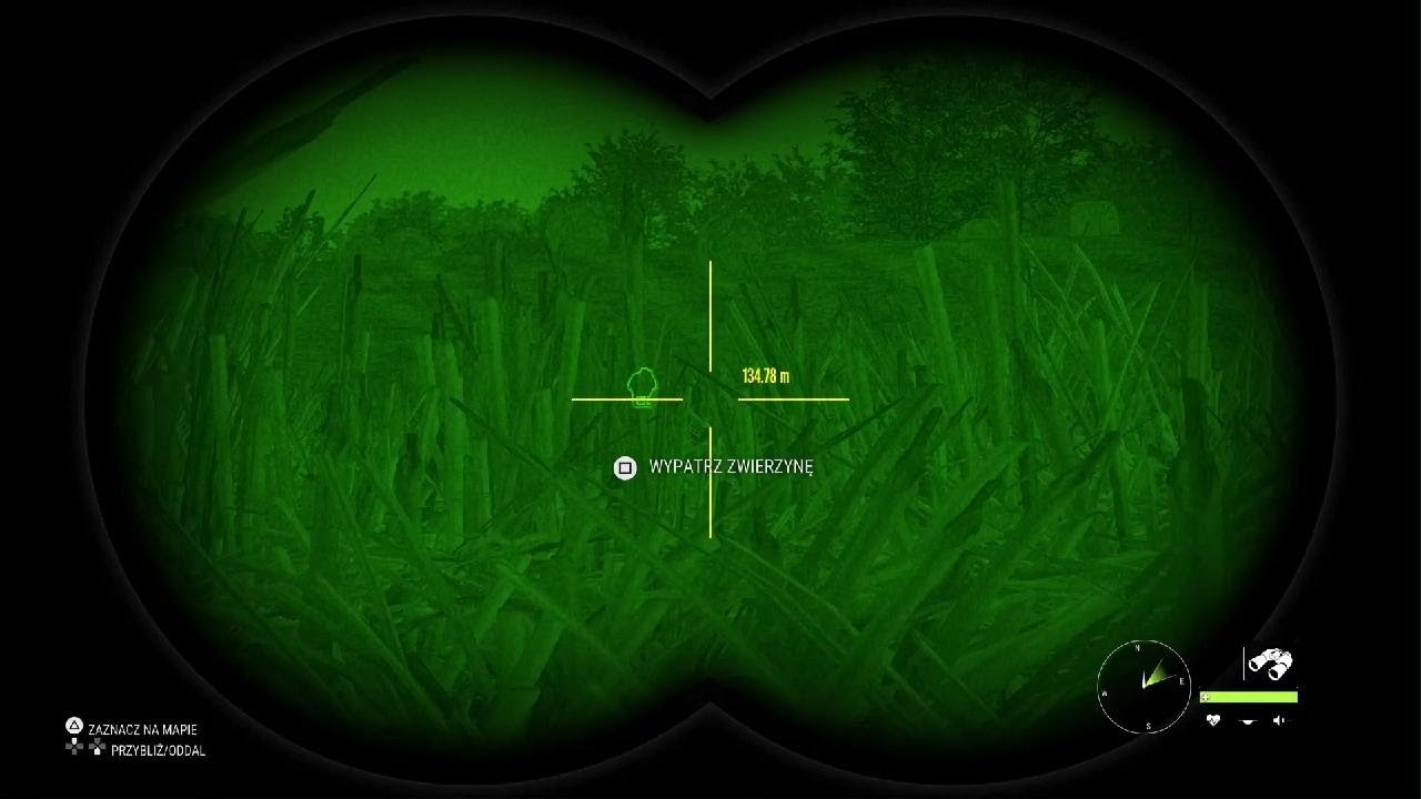 theHunter: gra o pierwszej w nocy