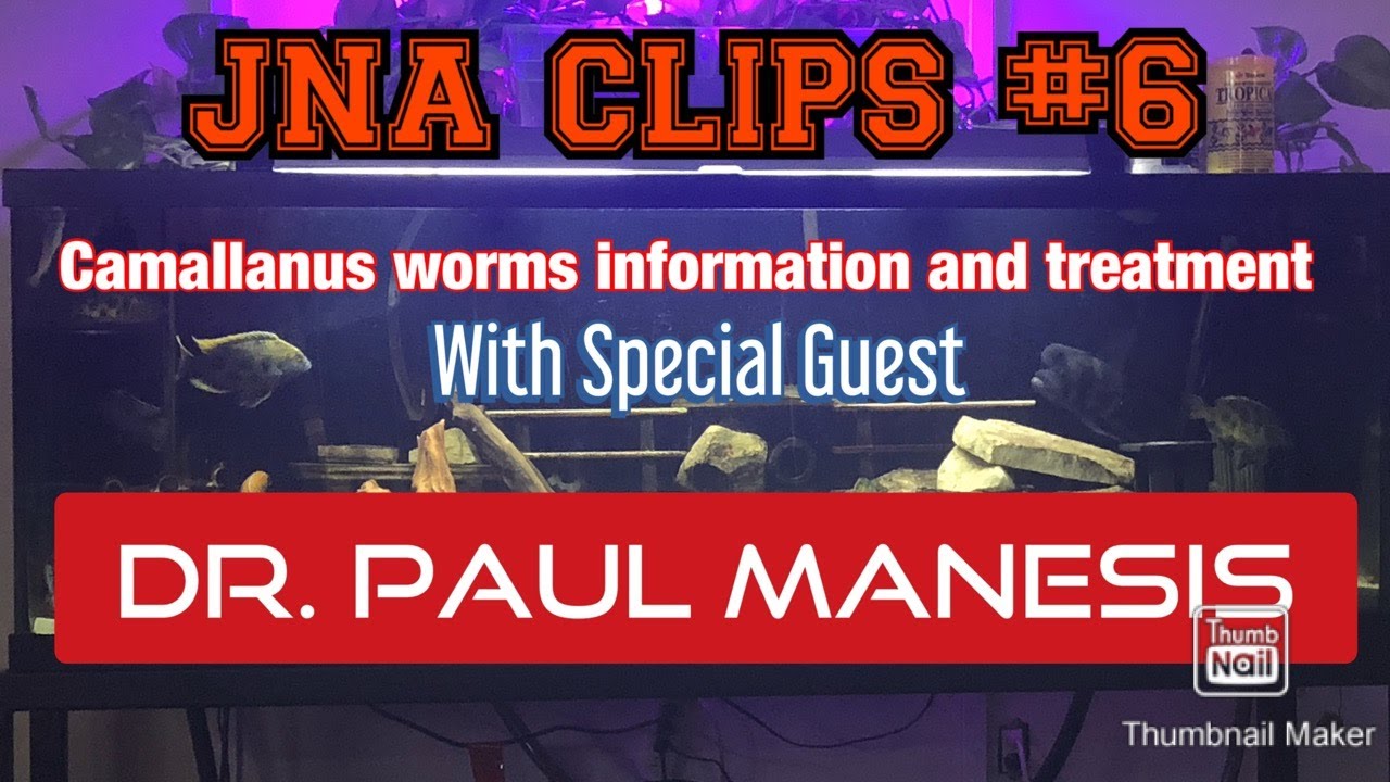 JNA CLIPS #6  Camallanus Worms information and treatment