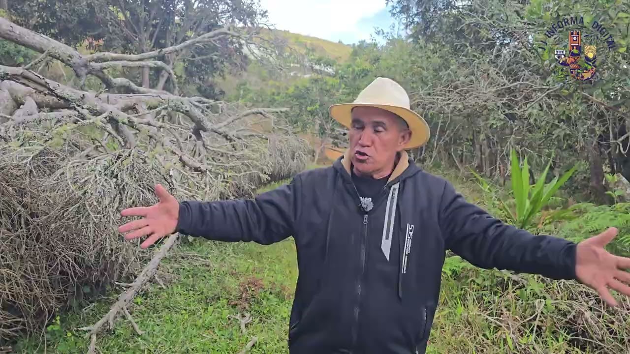 El Llano de Don Floro.