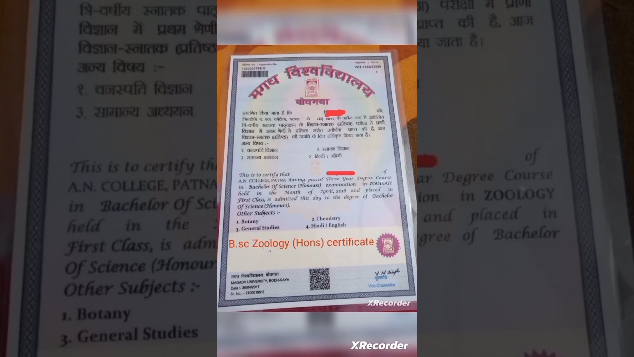 Graduation marks 555/800 Original Marksheet and Certificate@Magadh University #bodhgaya #students