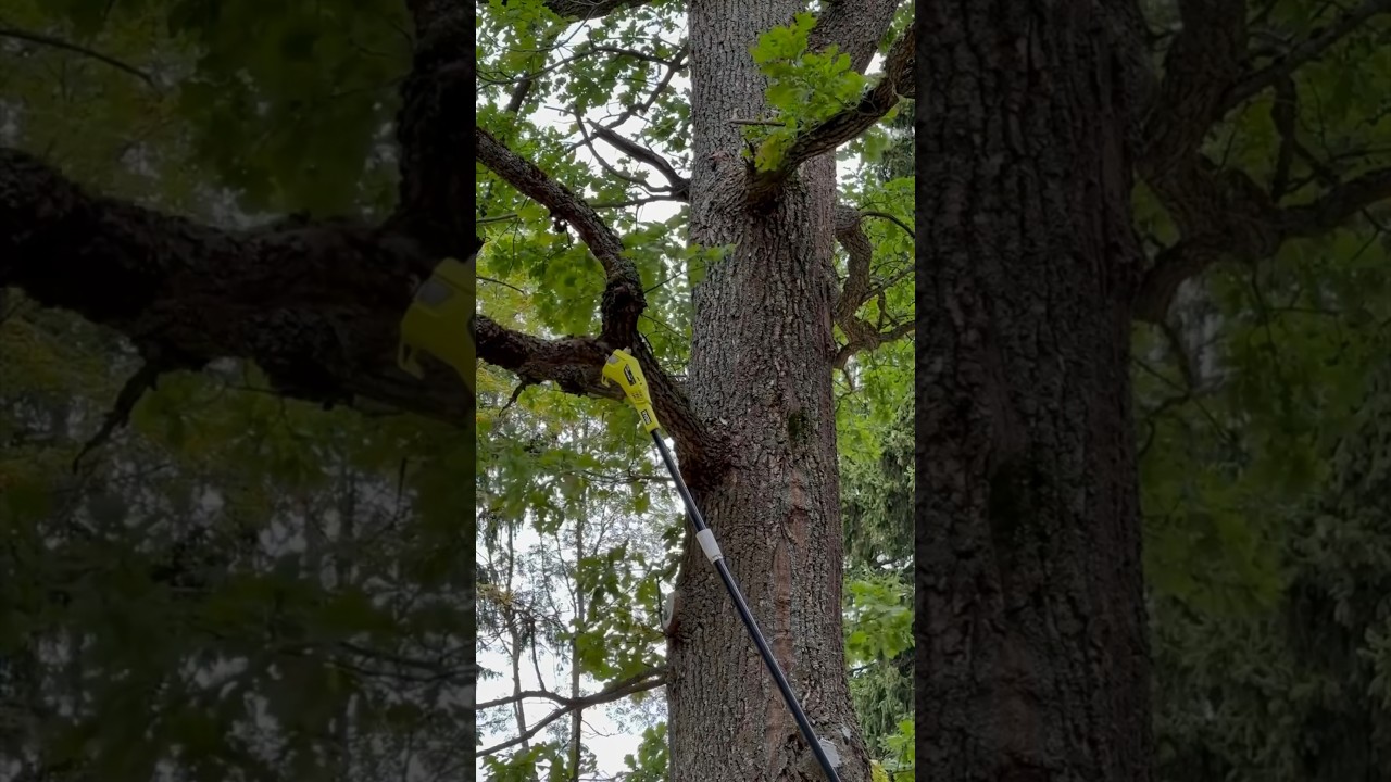 RYOBI 18V ONE+ 8&rdquo; Pole Saw