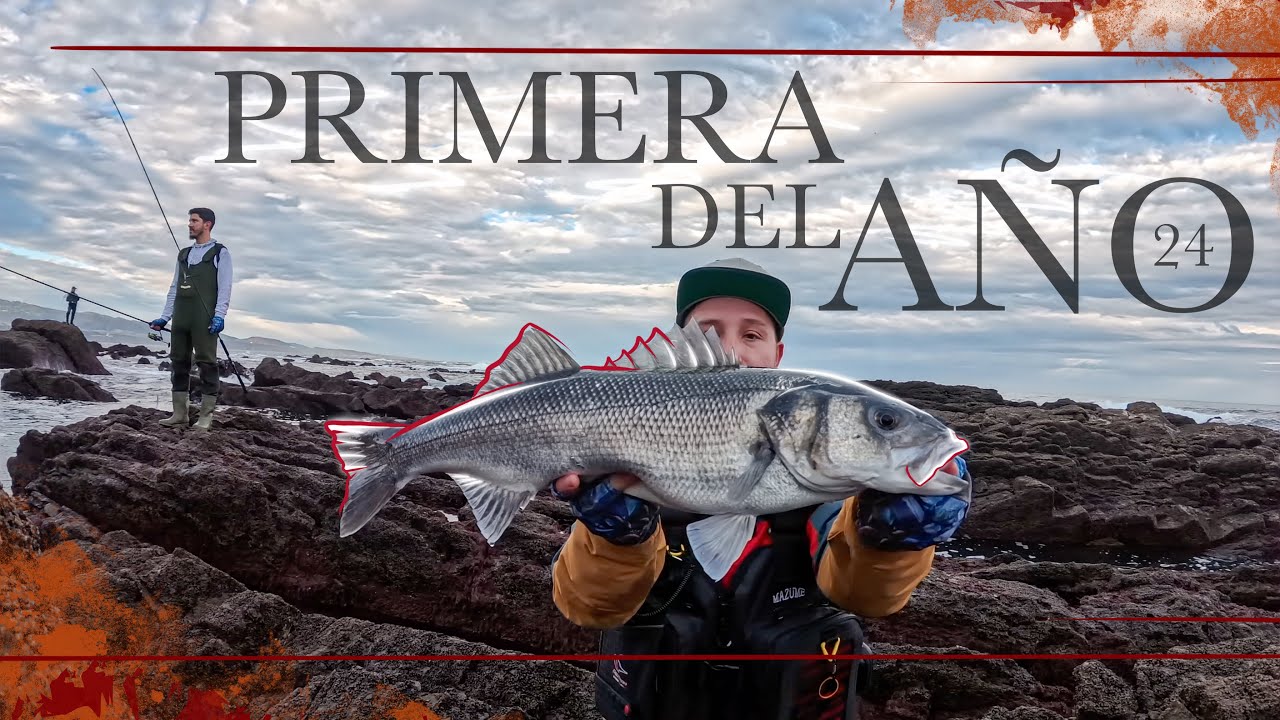 PESCA a SPINNING de la LUBINA en INVIERNO || PRIMER ROBALO del AÑO