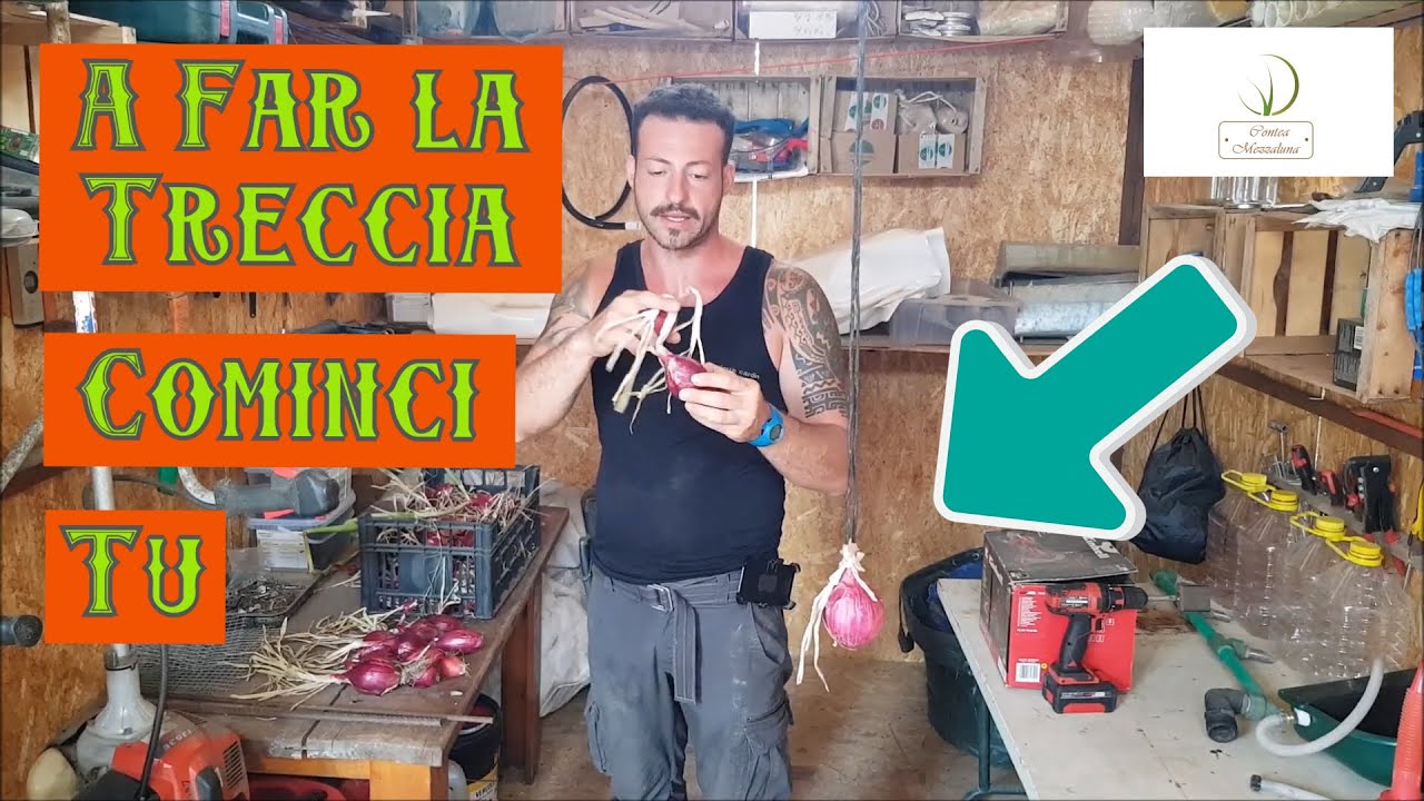 Come Raccogliere e Legare correttamente le Cipolle