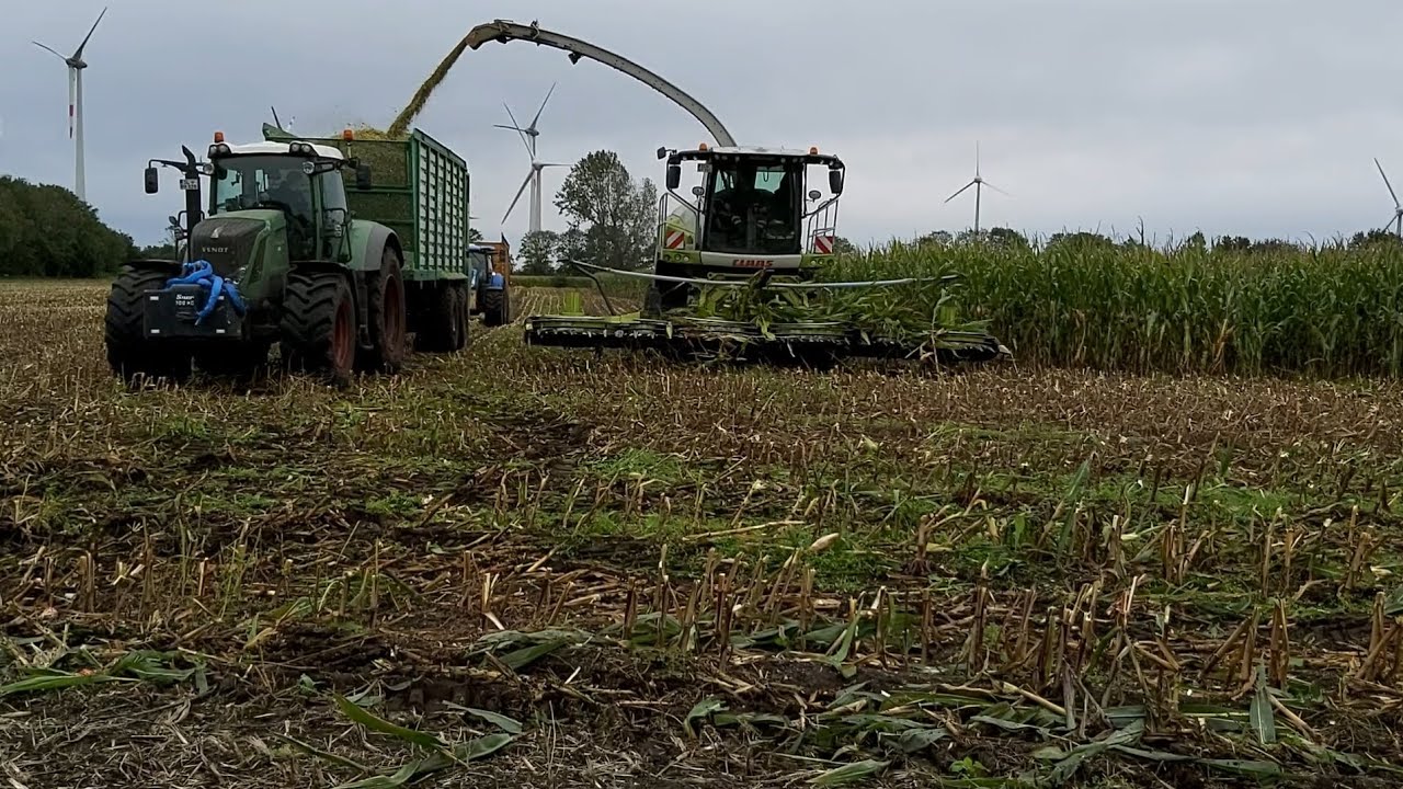 Maishäckseln 2023 mit dem Lohnunternehmen KaPe.: Fendt/New Holland/Claas/Tebbe/Veenhuis