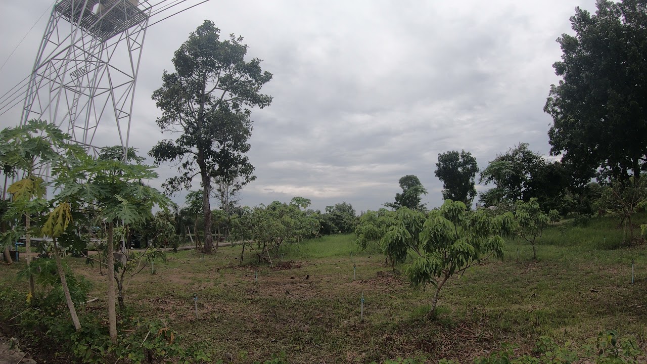 #GoProHeroBlack7 #Timelarp