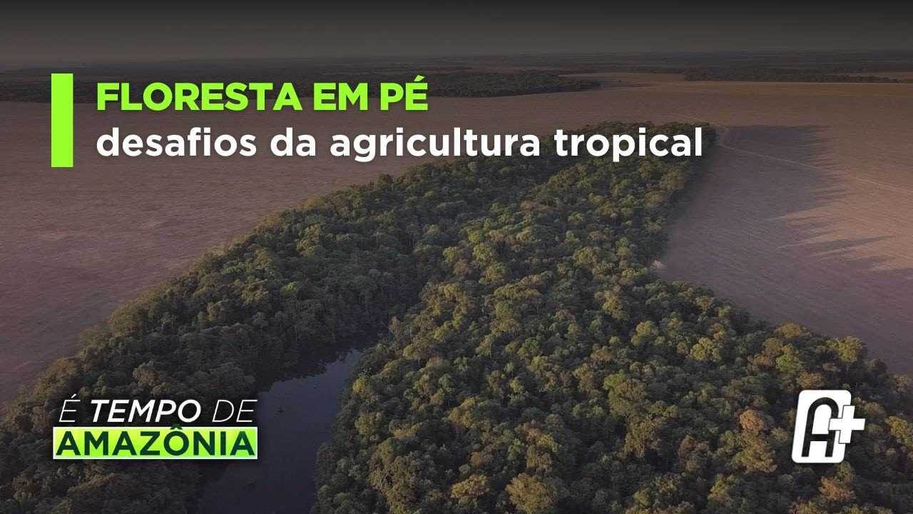 Agricultura Sustentável na Amazônia: Desafios e COP30 | Tempo de Amazônia