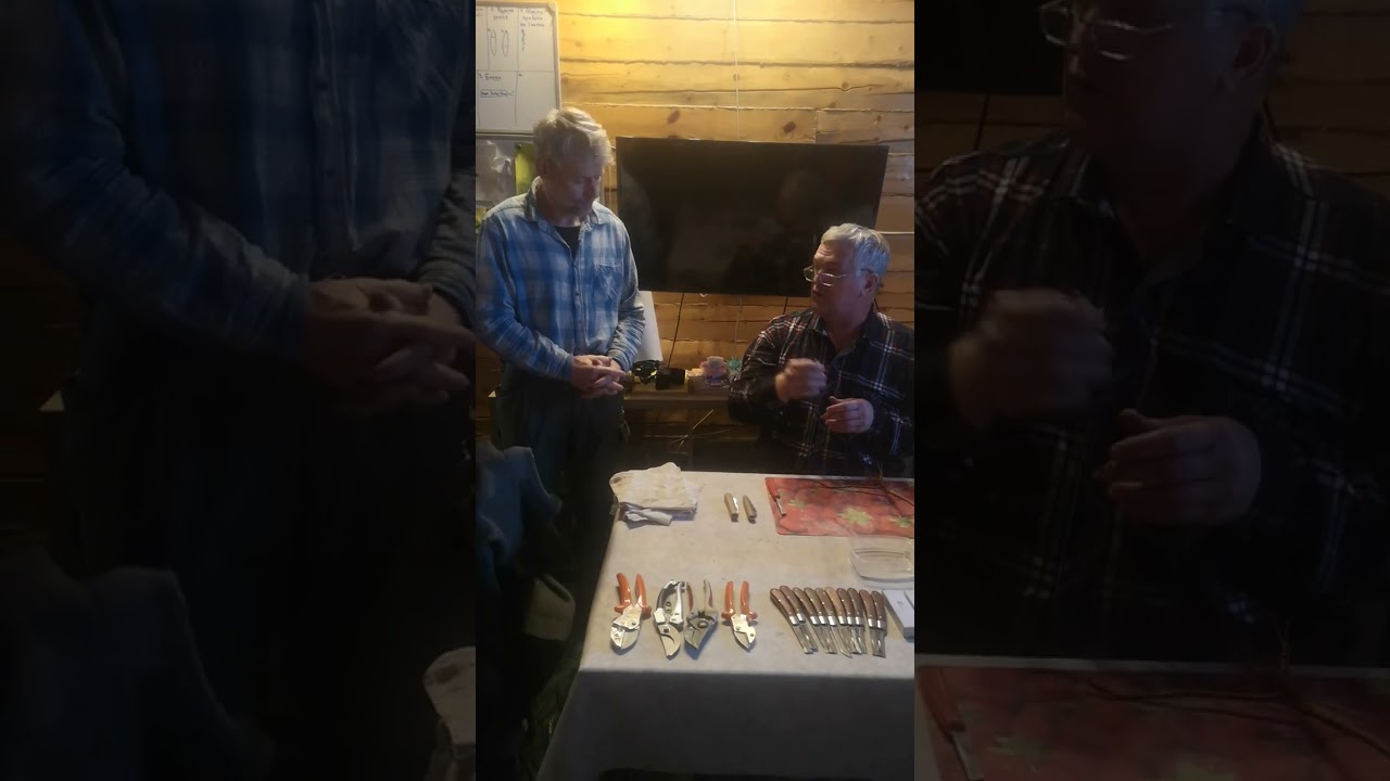 Мастер-класс Зимняя прививка растений с немецкими школьниками