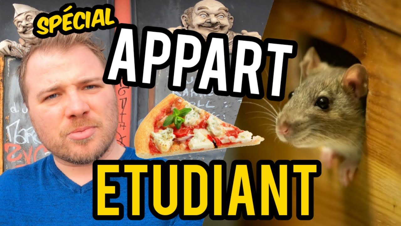 Comment se débarrasser des souris dans un appartement ?