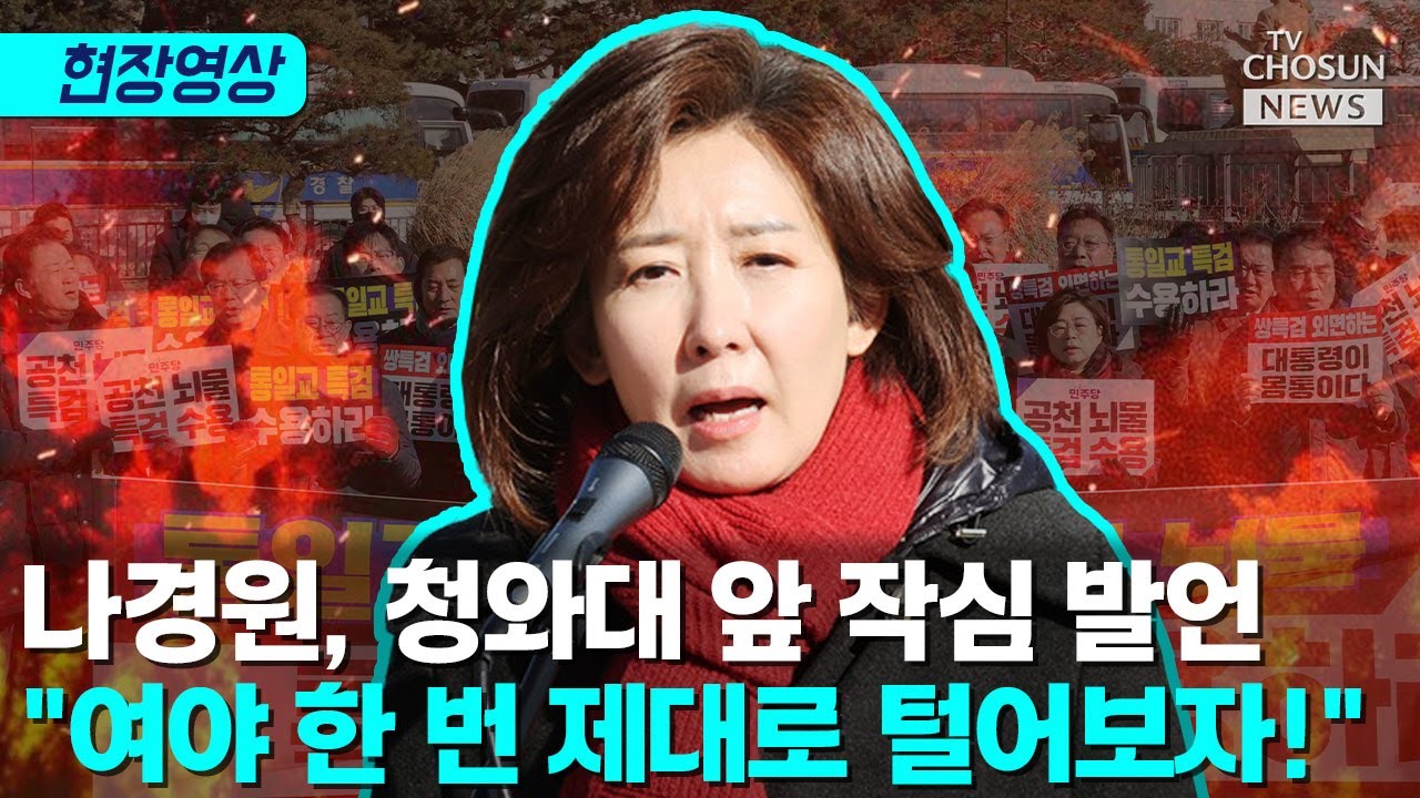 나경원 