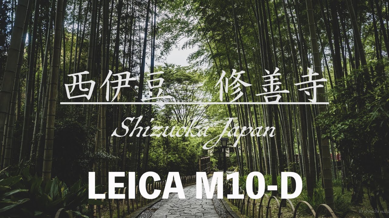 LEICA M10-D  Landscape photography syuzennji & nishiizu japan
