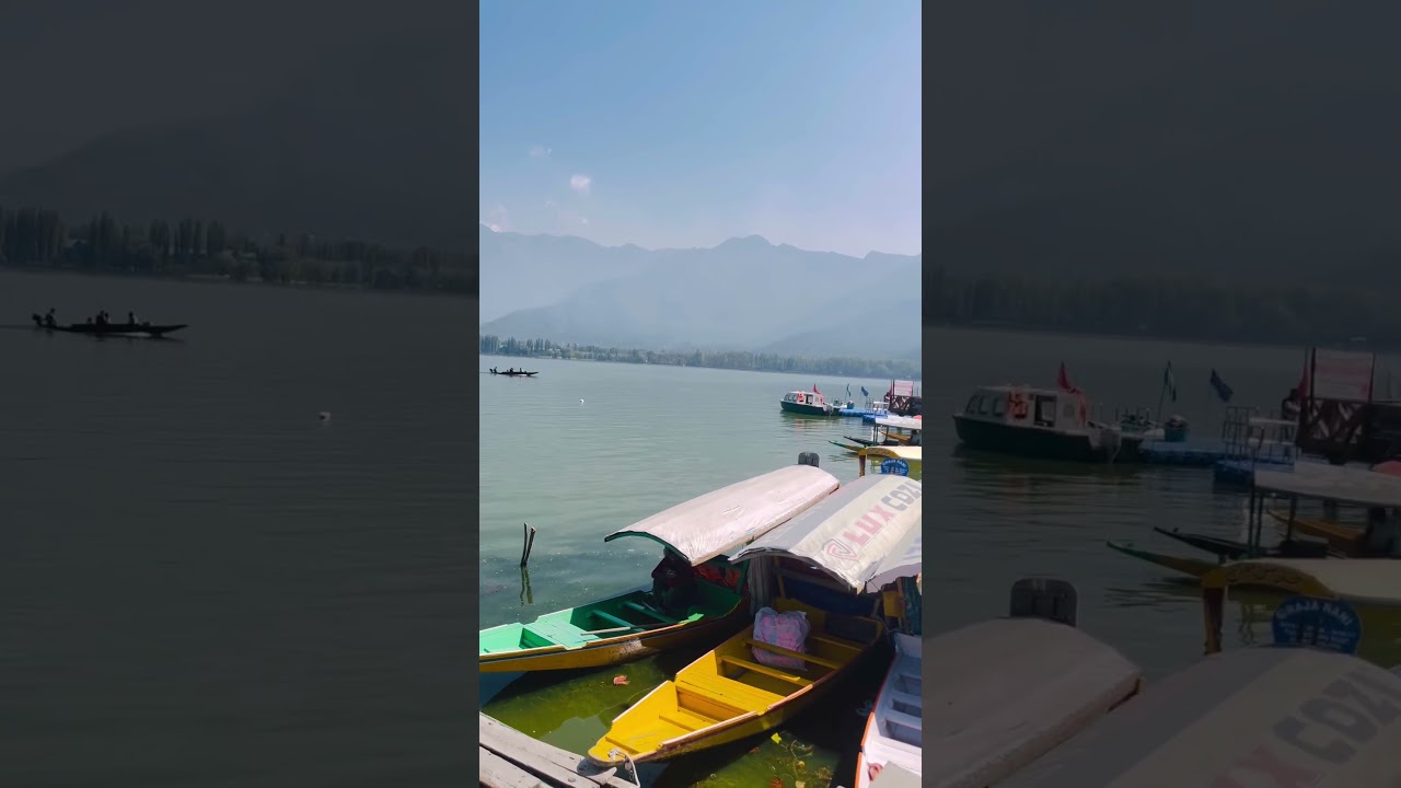 Dal lake srinagar #travel #nature #mountains #shortvideos #kashmir #srinagar #love #subscribe #like