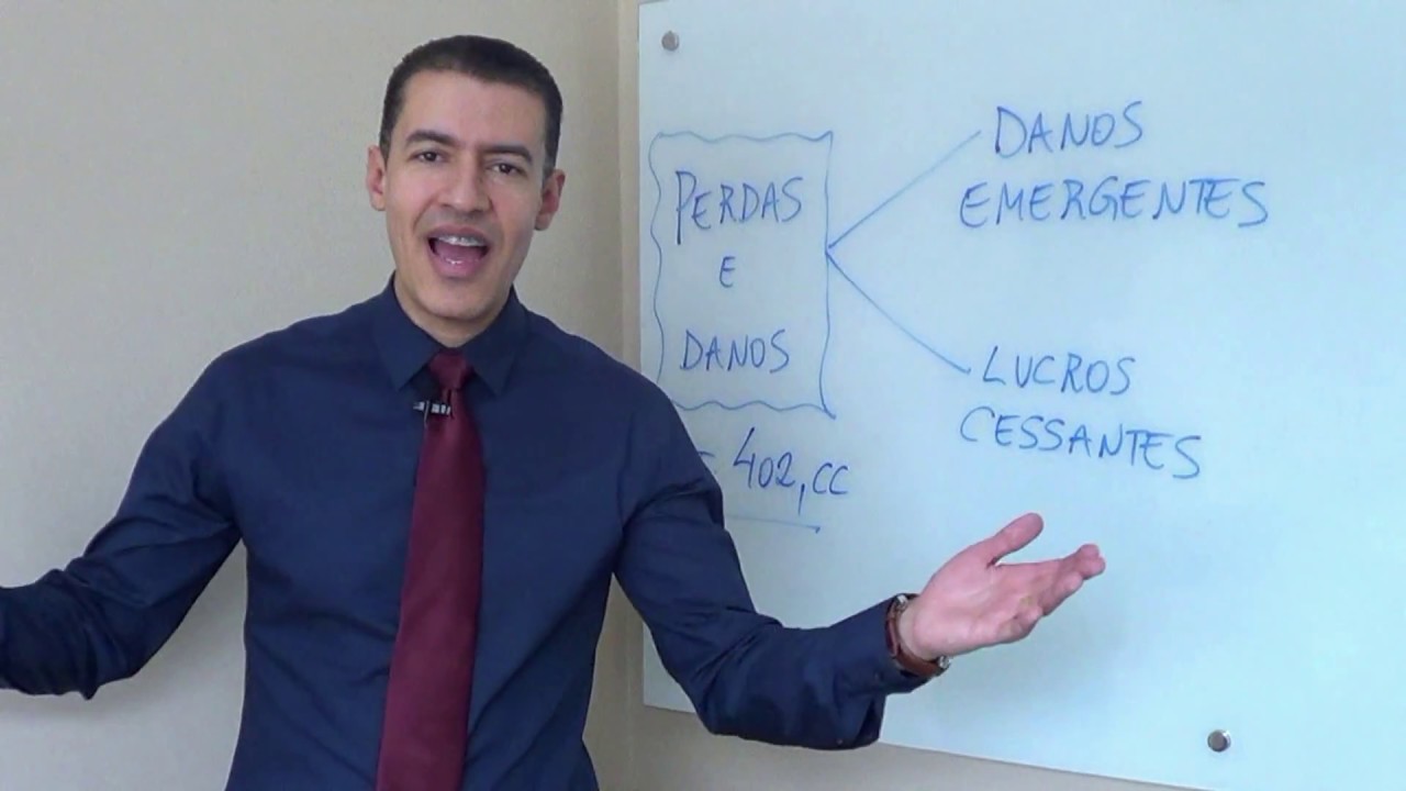 PERDAS E DANOS
