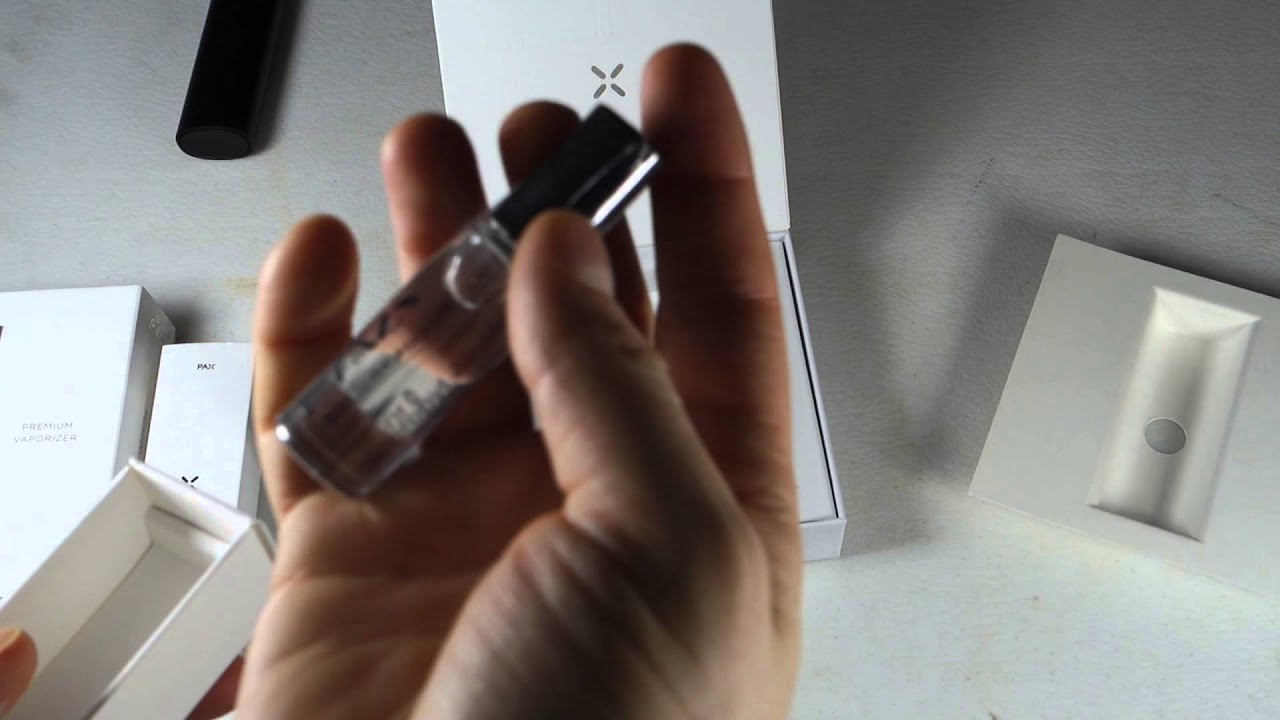 Pax 2 Unboxing and Comparison with Pax 1