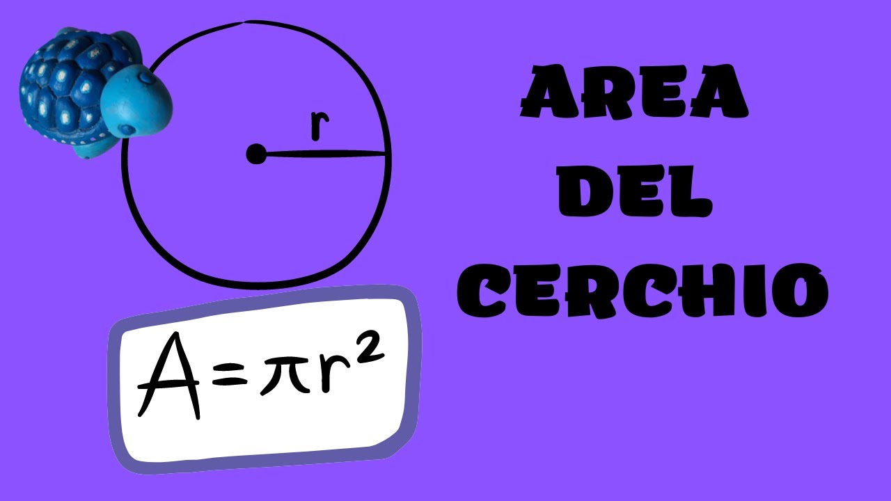 AREA DEL CERCHIO 🟡 Come si fa? || formule || esercizi || terza media
