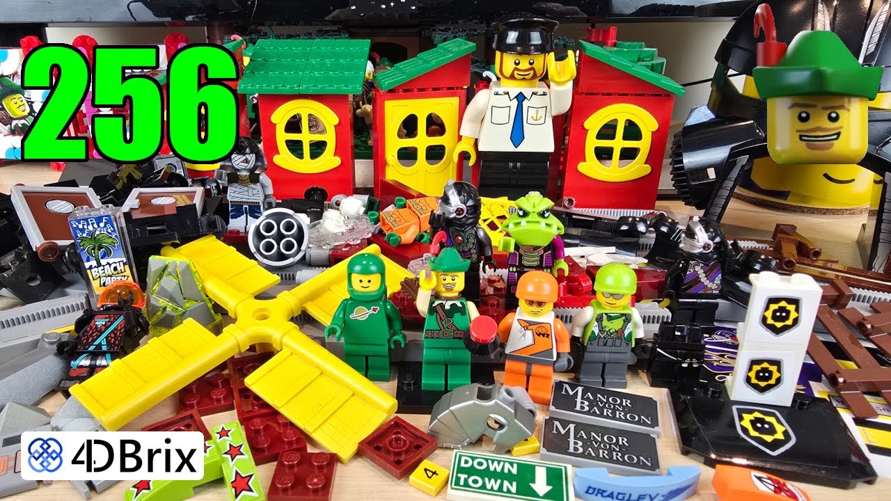 LEGO Brick Haul 256 - 4D Brix & Brick Link 📦📦🏹