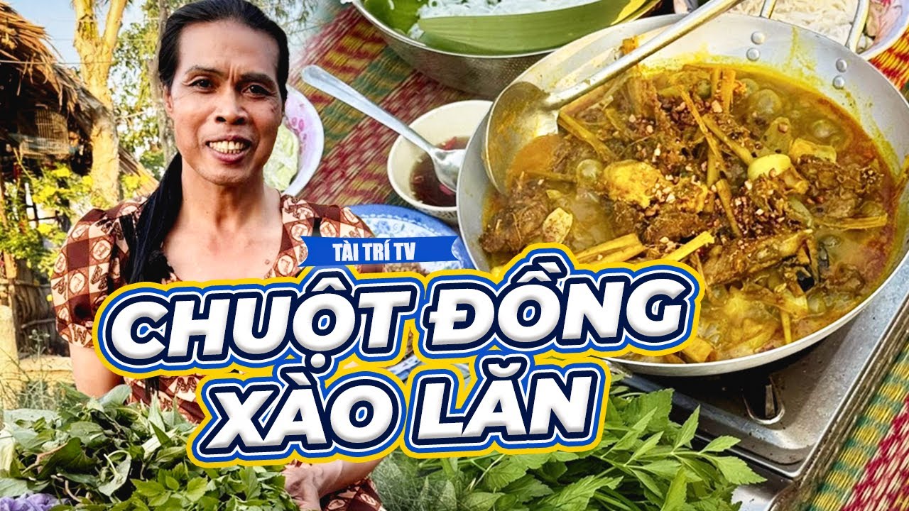 Mộng Kha Ngẫu Hứng Mần Chuột Đồng Xào Lăn Lai Rai Buổi Cơm Chiều | Tài Trí TV