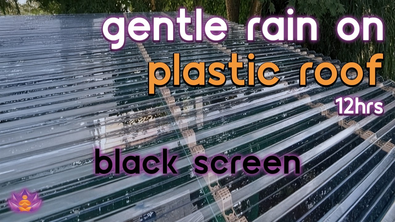 [Black Screen] Cozy Under Plastic Roof | Rain on Plastic Roof – No Thunder | Rain Sounds for Sleep