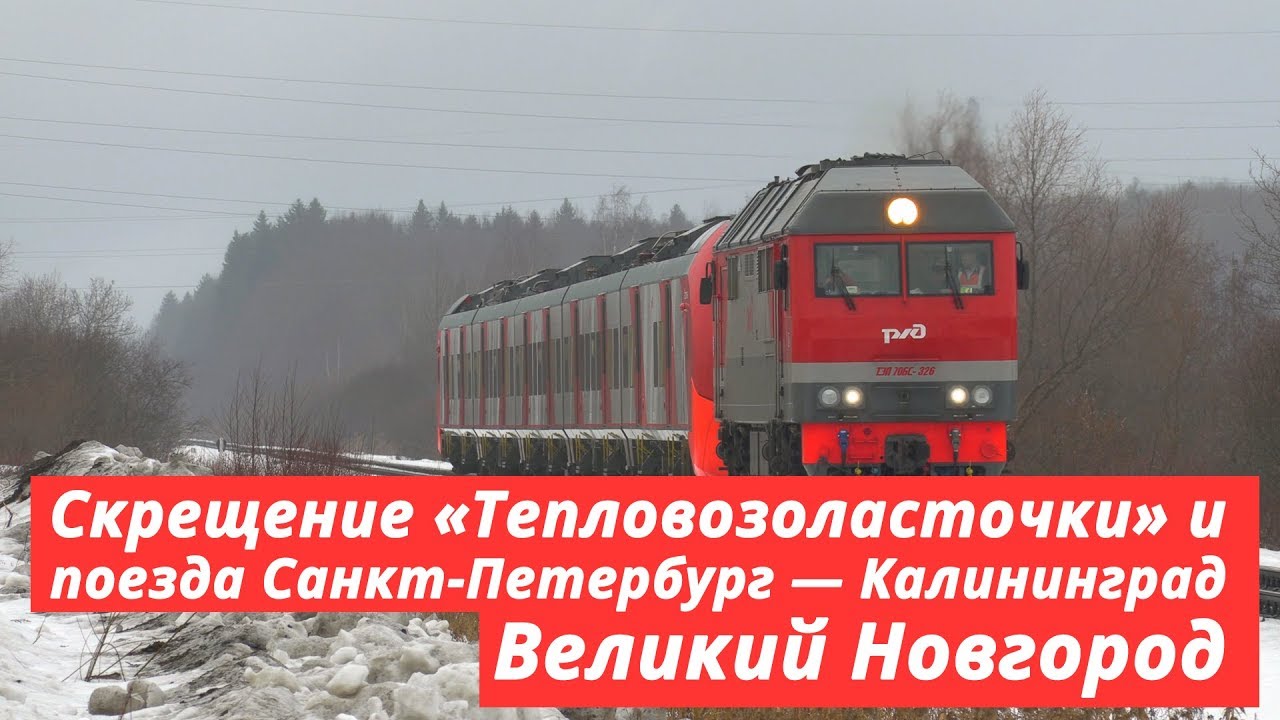 «Тепловозоласточка» пропускает поезда Калининград — Санкт-Петербург, Великий Новгород