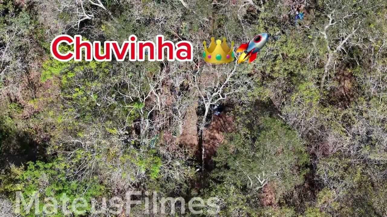 25ª Corrida da vaca Chuvisco        Em Custódia-PE 