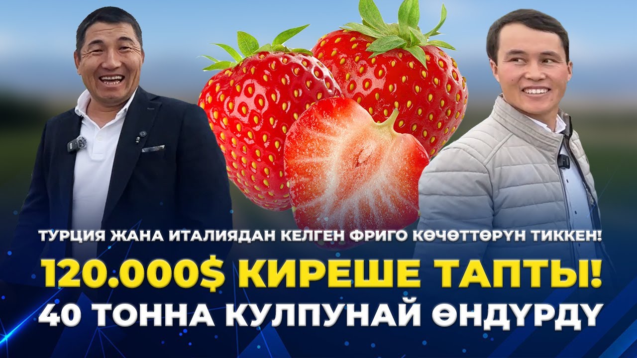 РУБЛЬ ТҮШҮП ЖАТКАНДА ЭМНЕ КЫЛЫШЫБЫЗ КЕРЕК?