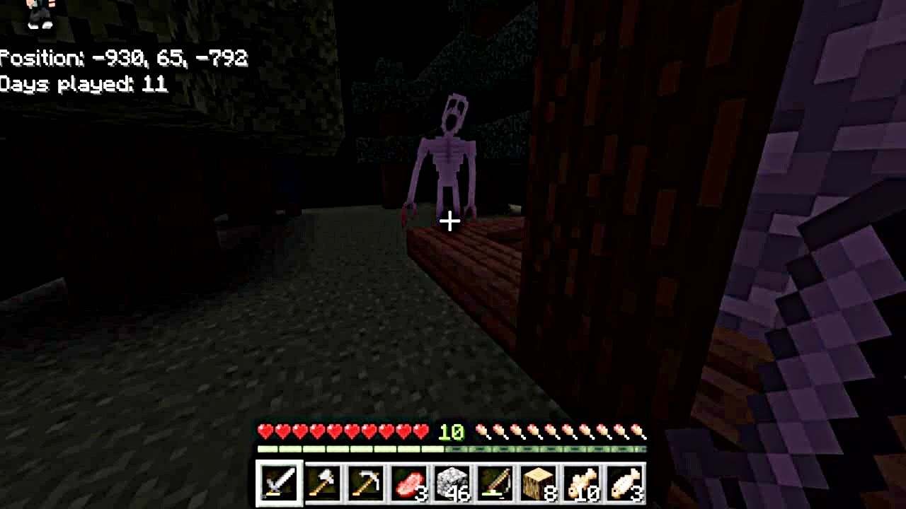 The One Who Watch Kill Me In Minecraft Survival