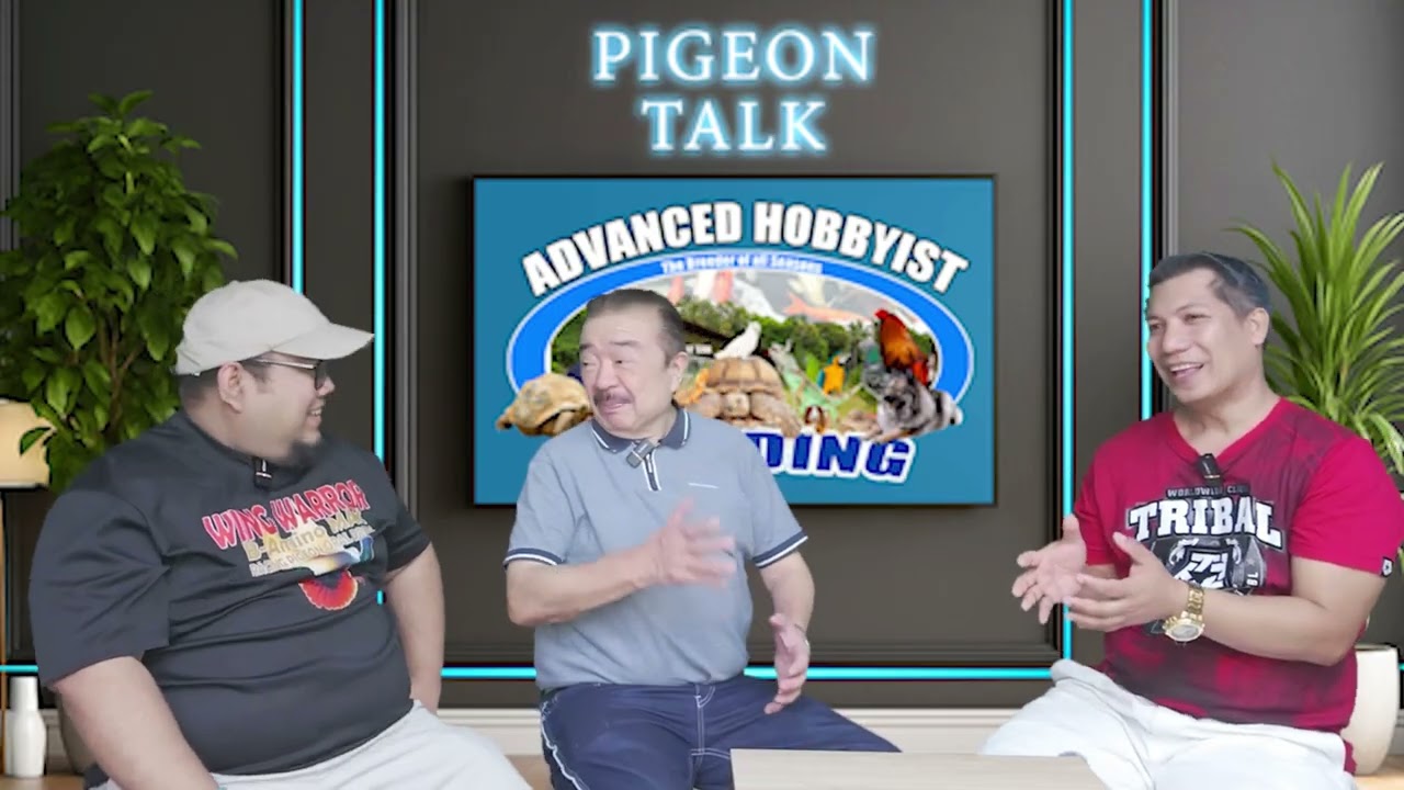 FULL EPISODE | MICHAEL RASQUERO PIGEON TALK 101