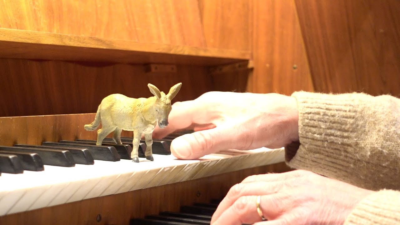 A donkey in the organ! Der kleine Esel / Arr. Markus Süß